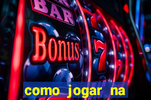 como jogar na lotinha do jogo do bicho